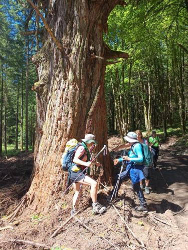 2026-06-12-Correze-Bonnefond04
