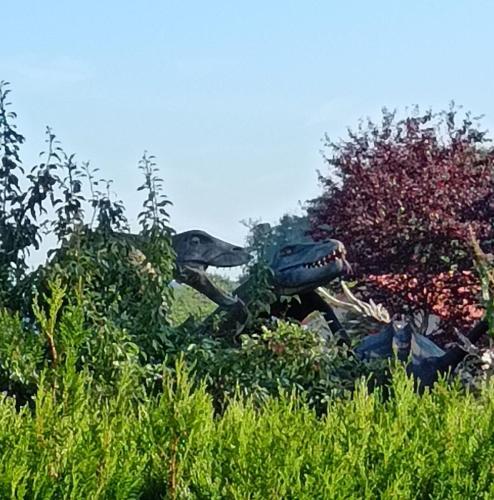 2026-06-30-Brugheas06