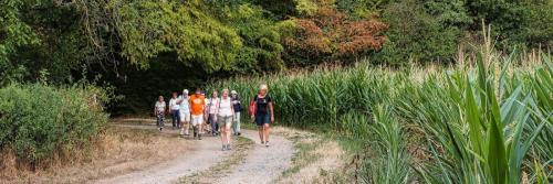 2026-08-17-Brugheas05