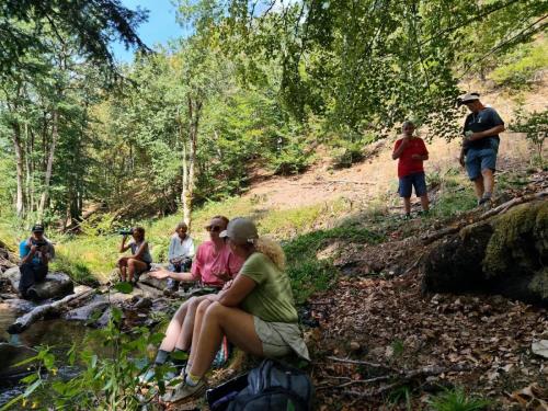 2026-08-18-Lachabanne07